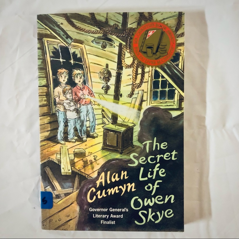 💝 The Secret Life of Owen Skye by Alan Cumyn, Children’s Fiction Paperback Book